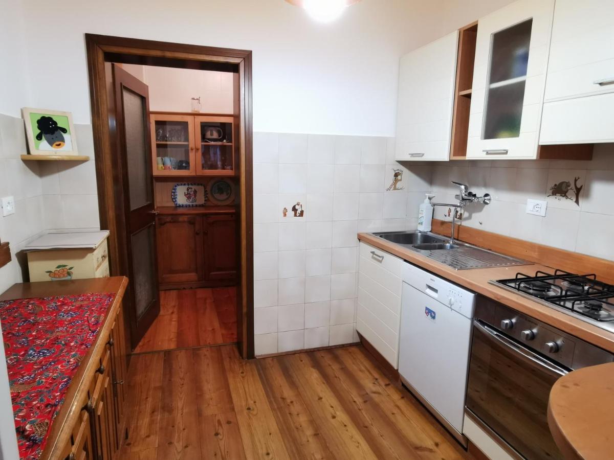 Casa Phoenix Appartamento Piano Terra Immerso Nel Verde A Pochi Minuti Dalla Ciclabile Pieve di Cadore Dış mekan fotoğraf