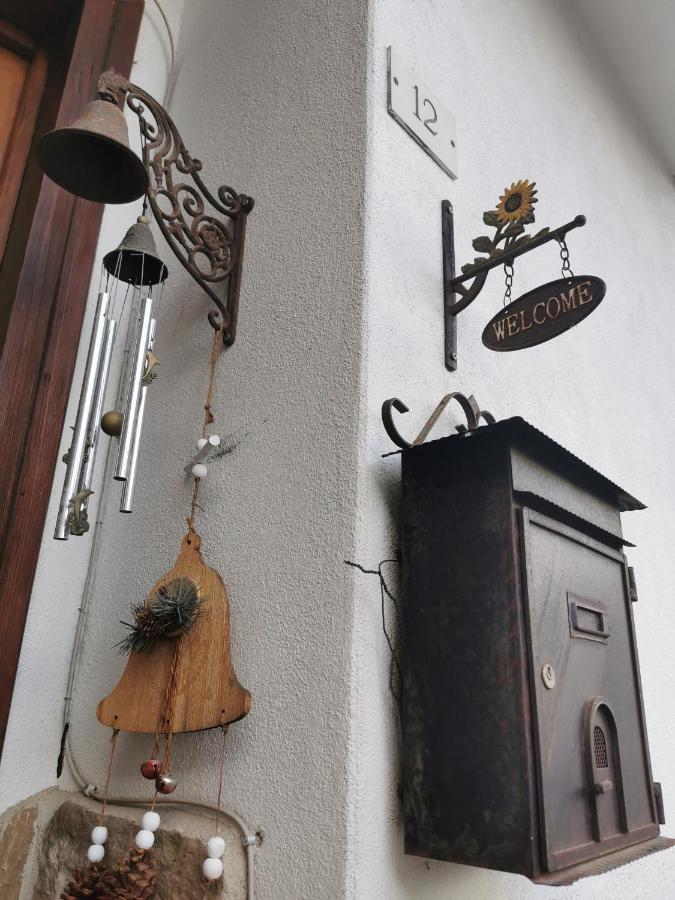Casa Phoenix Appartamento Piano Terra Immerso Nel Verde A Pochi Minuti Dalla Ciclabile Pieve di Cadore Dış mekan fotoğraf